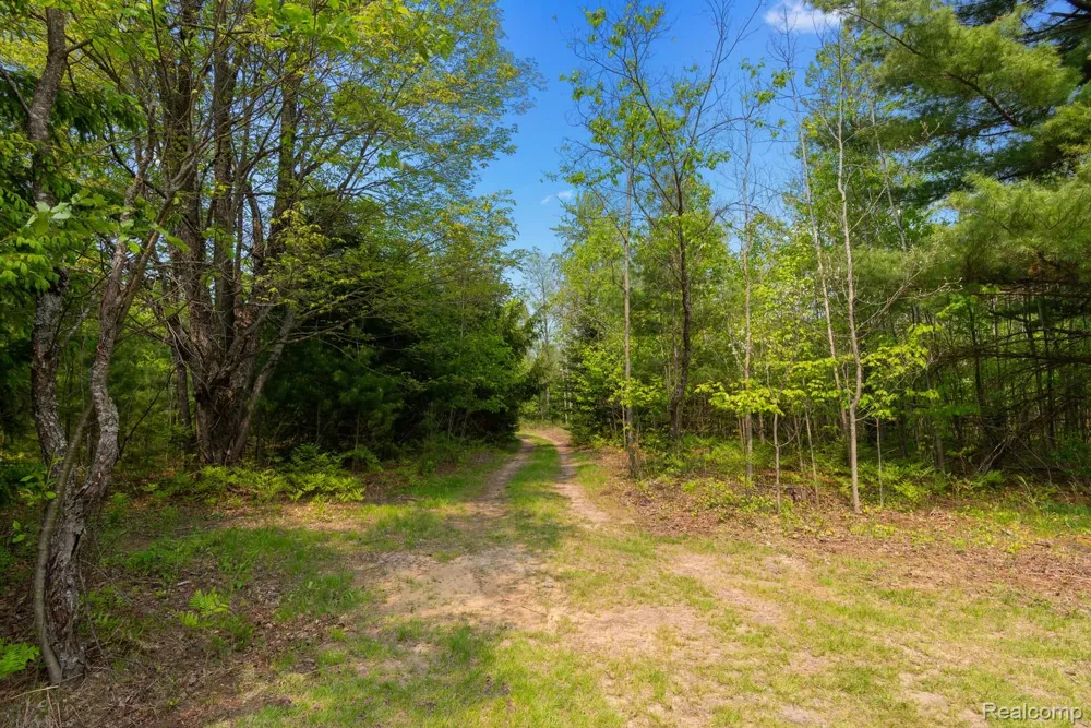 5960 Trail SE Orange Township, MI 49646
