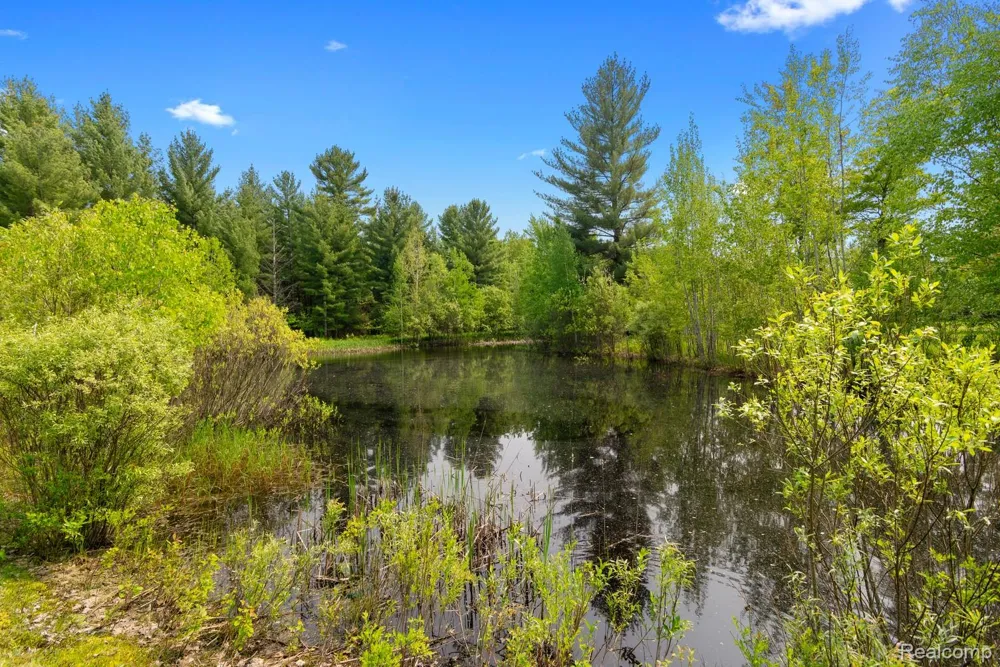 5960 Trail SE Orange Township, MI 49646