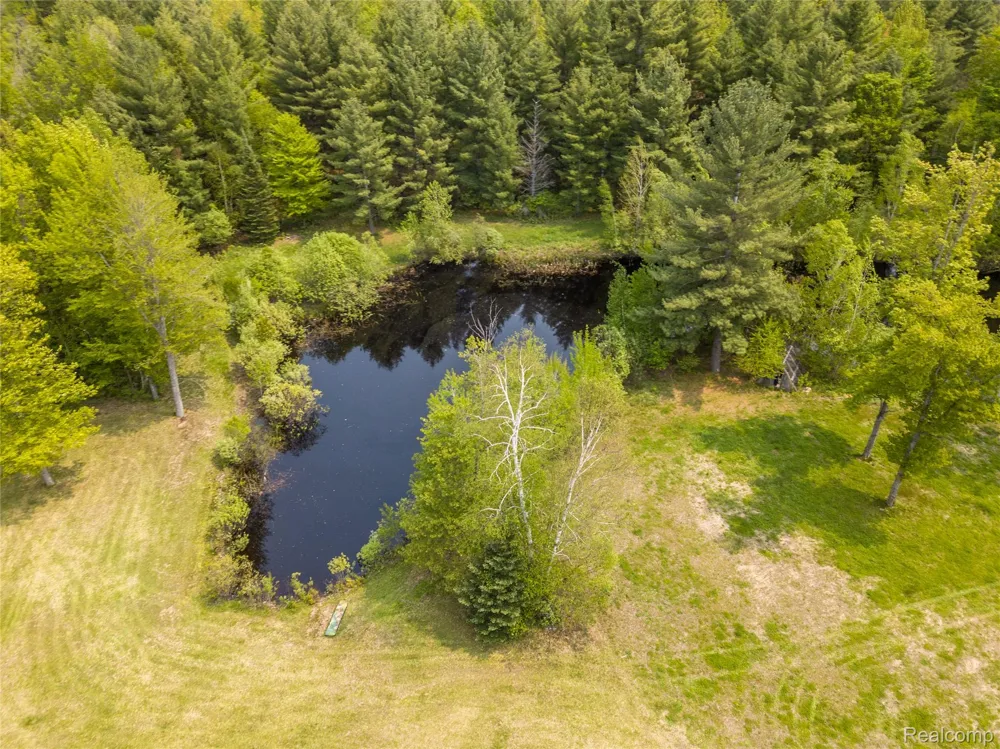 5960 Trail SE Orange Township, MI 49646