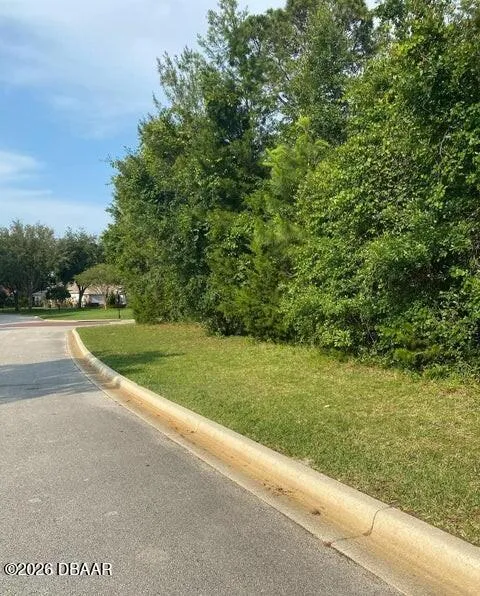 15 Indian Springs Drive Ormond Beach, FL 32174
