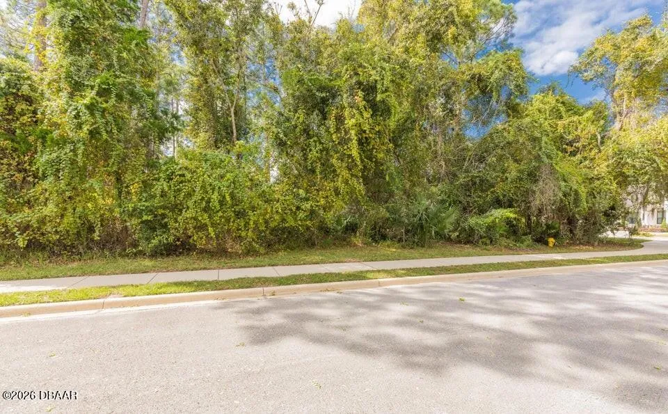 15 Indian Springs Drive Ormond Beach, FL 32174