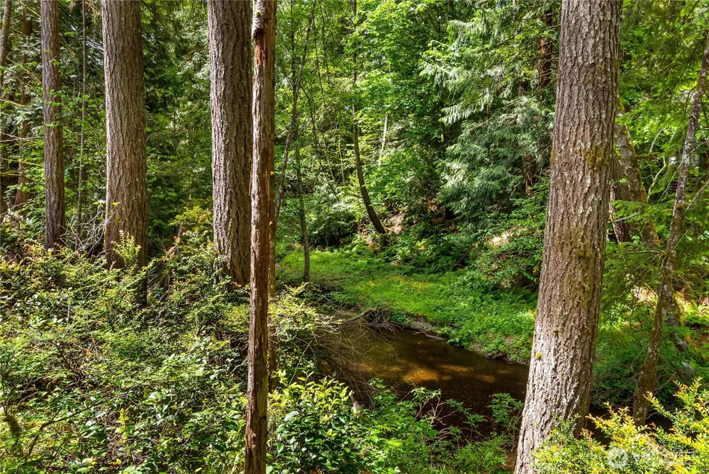 0 E Olde Lyme Road Shelton, WA 98584