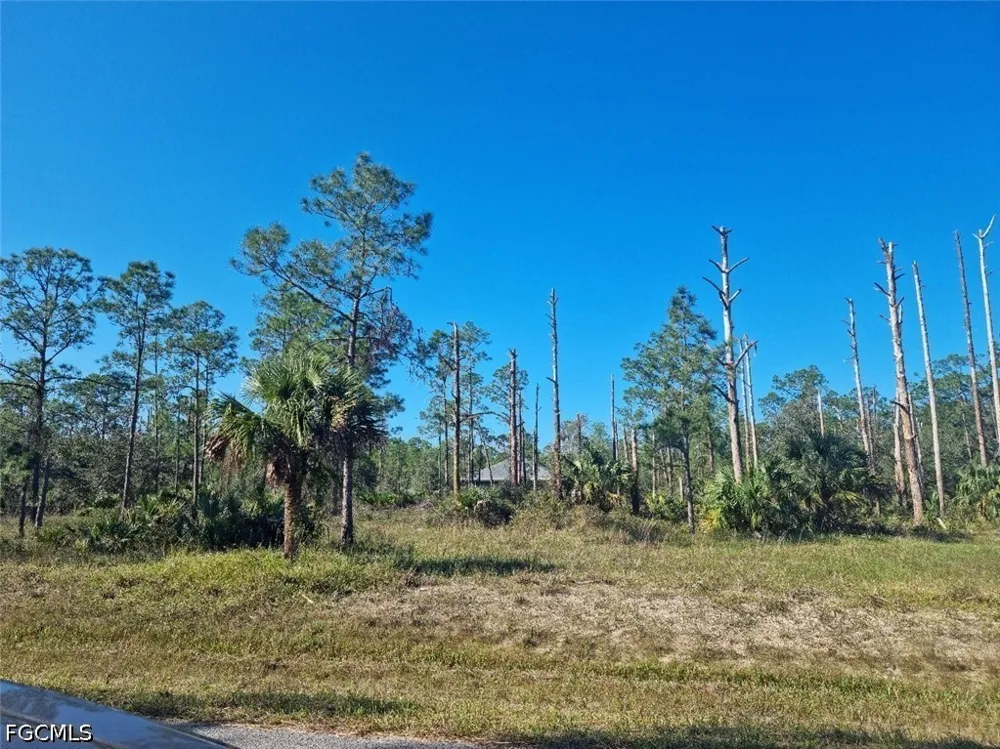 Wellington Avenue Alva, FL 33920
