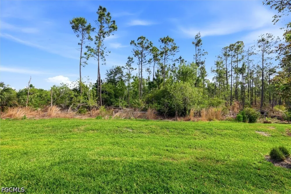 Plumwood Loop North Fort Myers, FL 33917