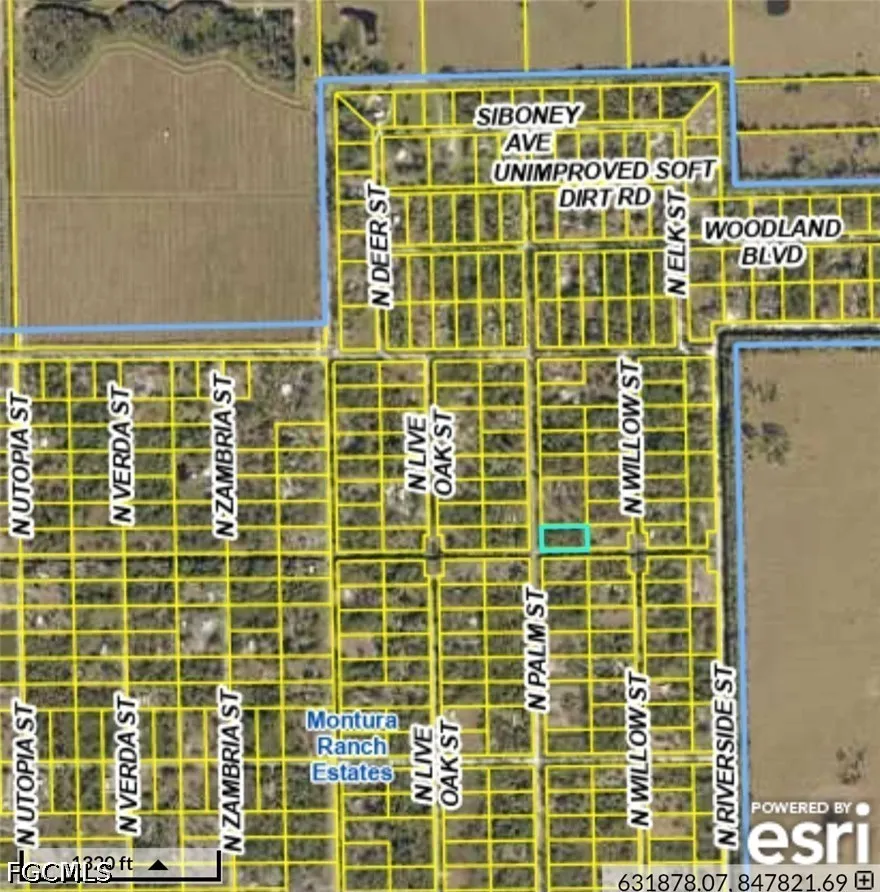 Palm Street Clewiston, FL 33440
