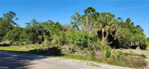 Palm Street