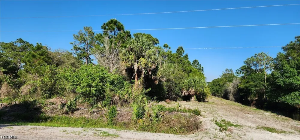 Palm Street Clewiston, FL 33440