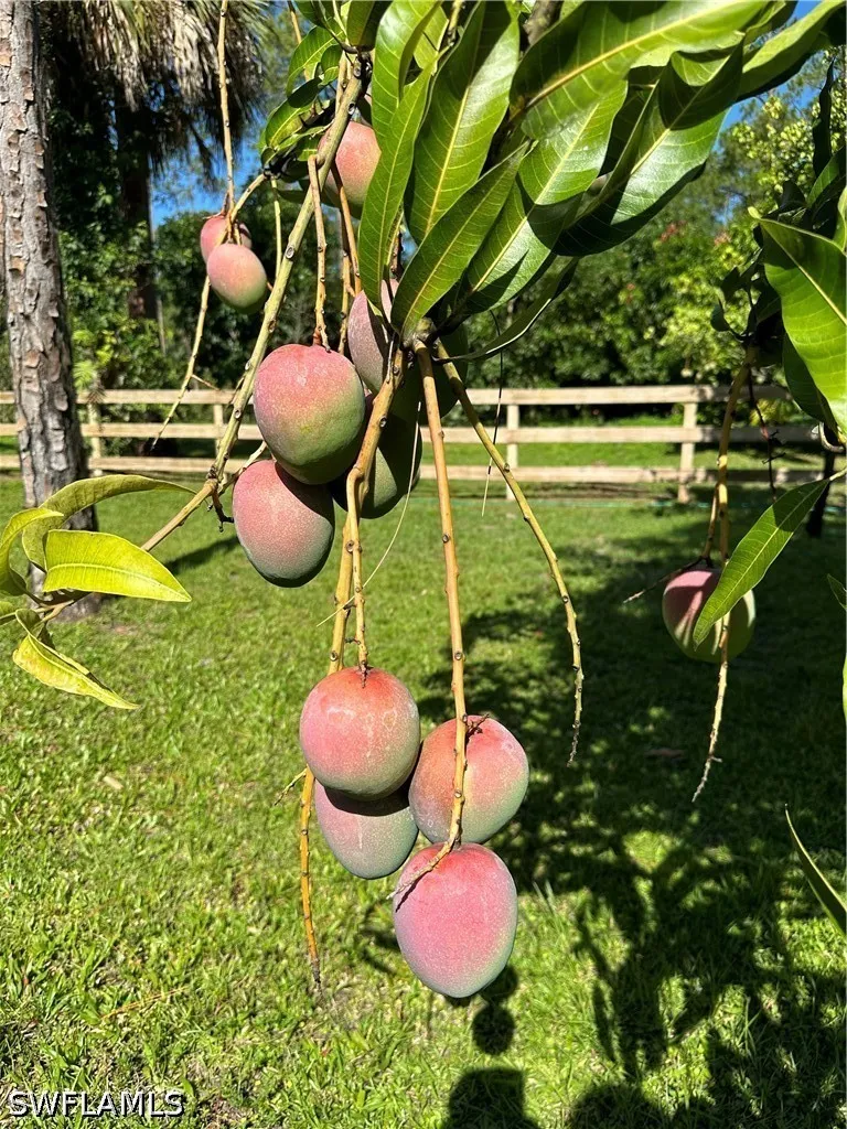 9th Street SW Naples, FL 34117