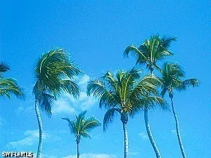 9th Street SW Naples, FL 34117