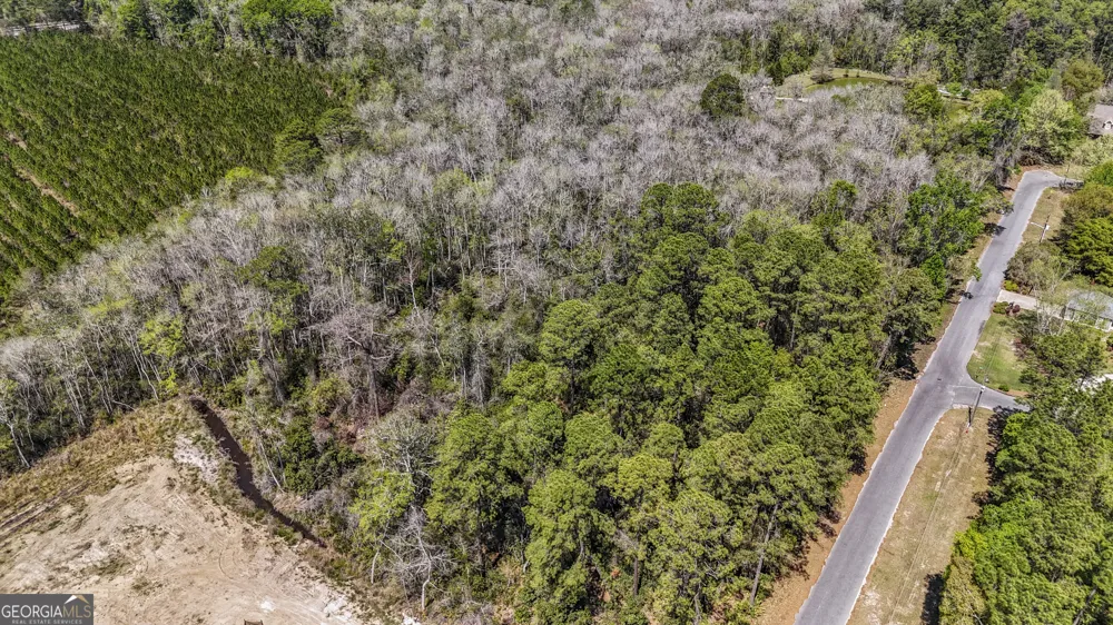 0 Littlefield ST Jesup, GA 31546