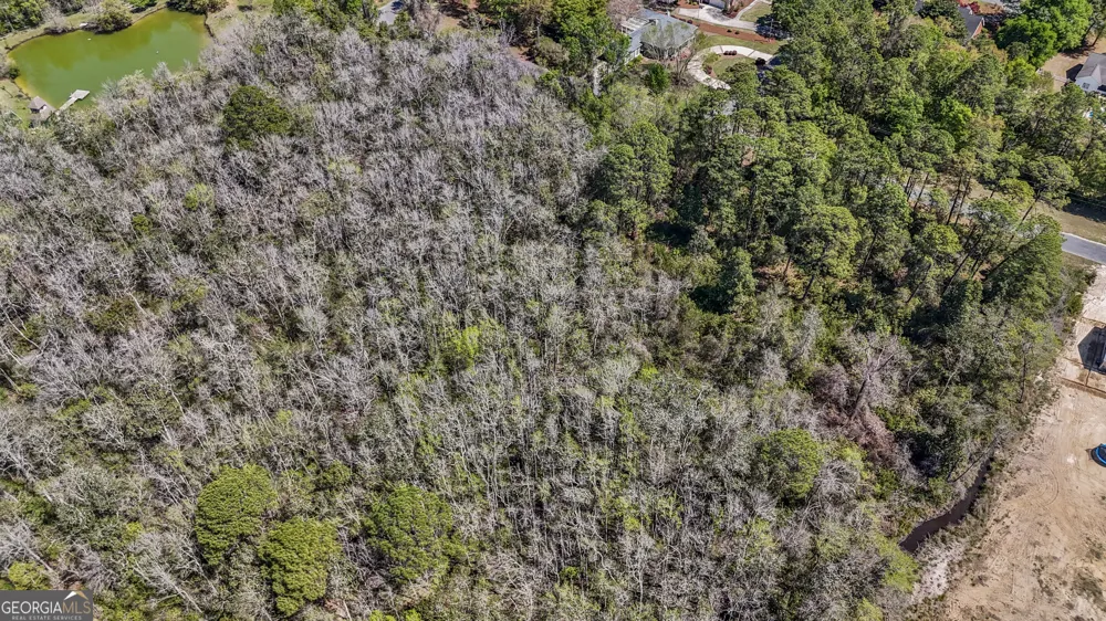 0 Littlefield ST Jesup, GA 31546