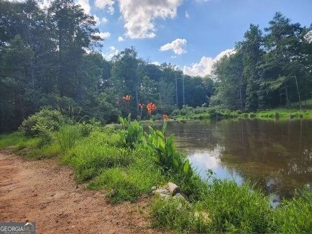 120 Bridgemill DR Hampton, GA 30228