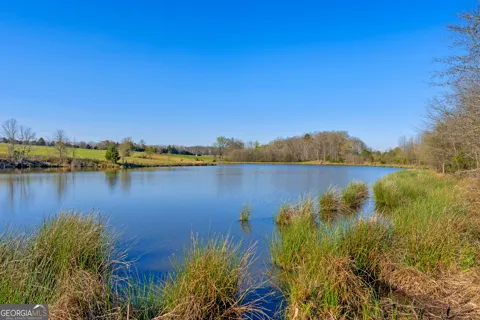 8 Legacy View