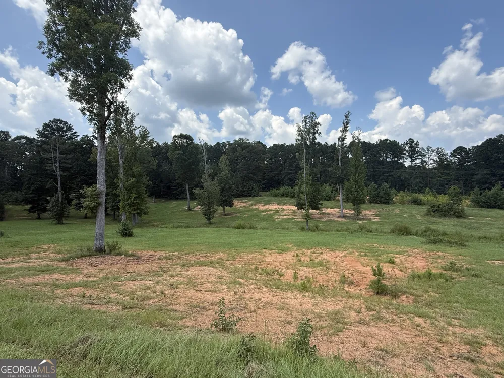 0 Champions DR Forsyth, GA 31029