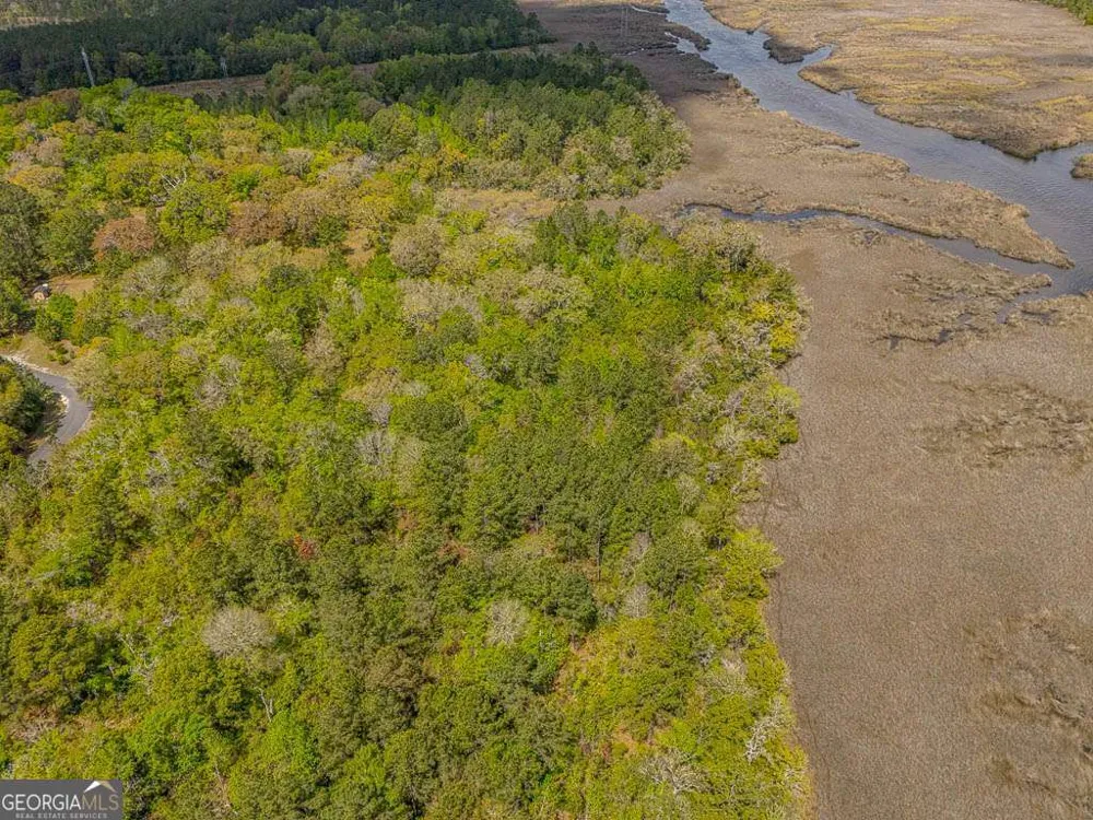 LOT 46 Waverly LN White Oak, GA 31568