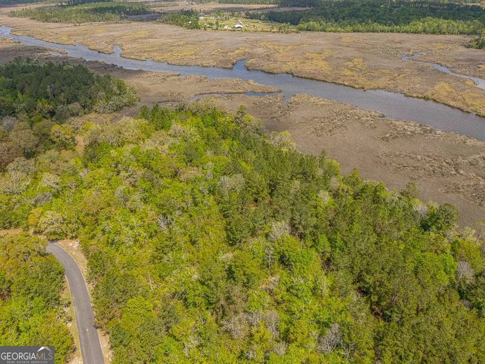 LOT 46 Waverly LN White Oak, GA 31568
