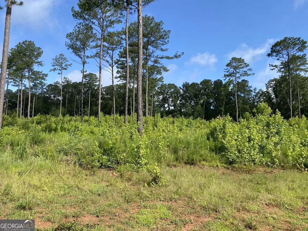 LOT 3 Giles RD Forsyth, GA 31029