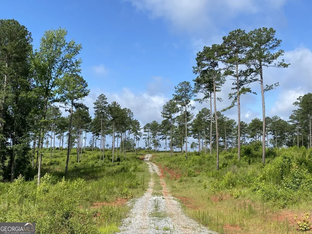 LOT 3 Giles RD Forsyth, GA 31029
