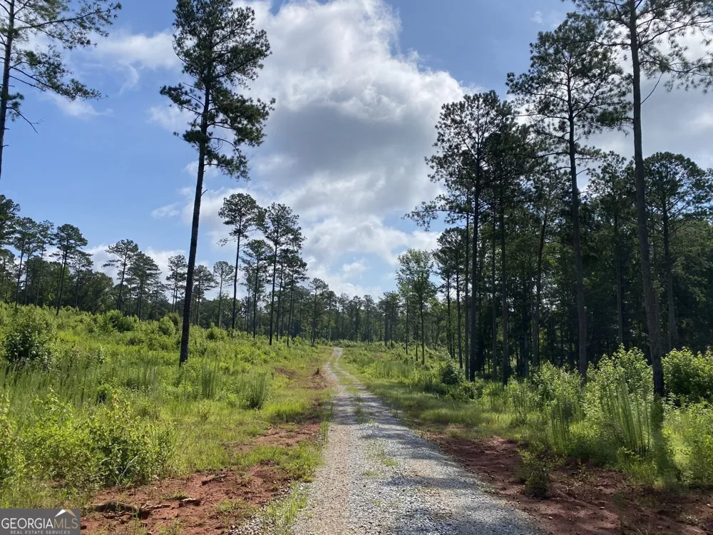 LOT 3 Giles RD Forsyth, GA 31029