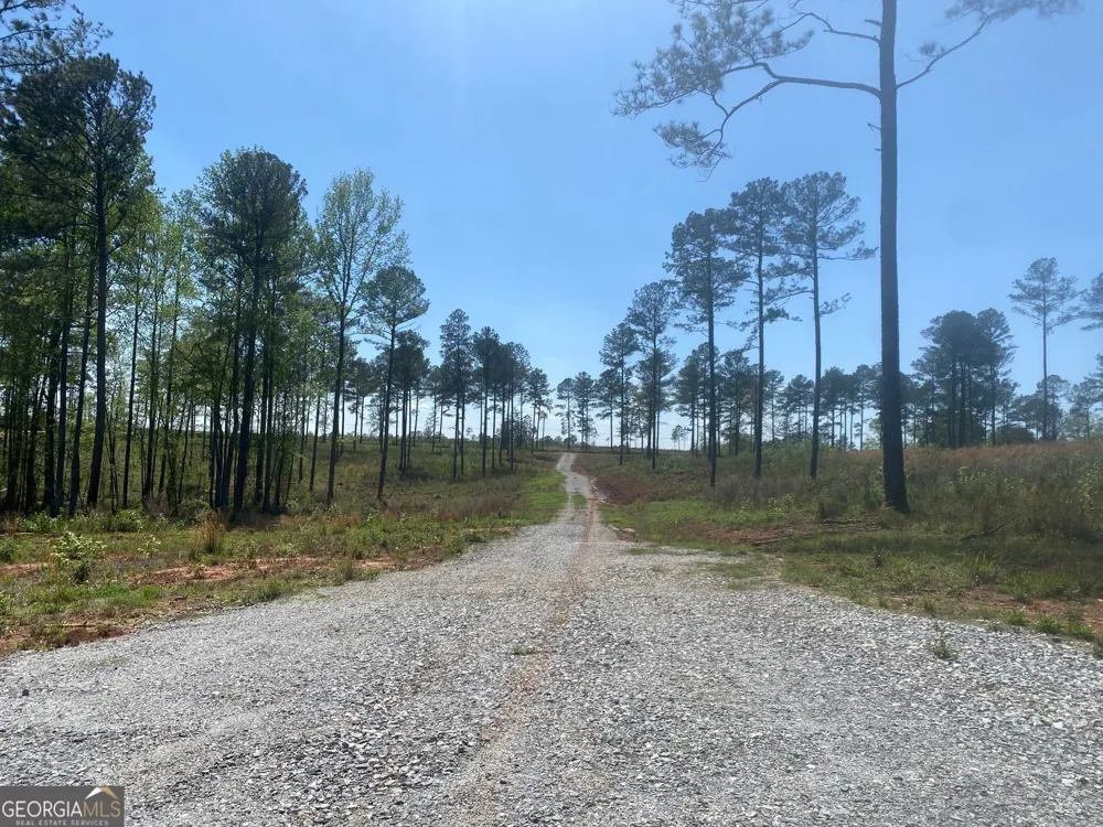LOT 3 Giles RD Forsyth, GA 31029