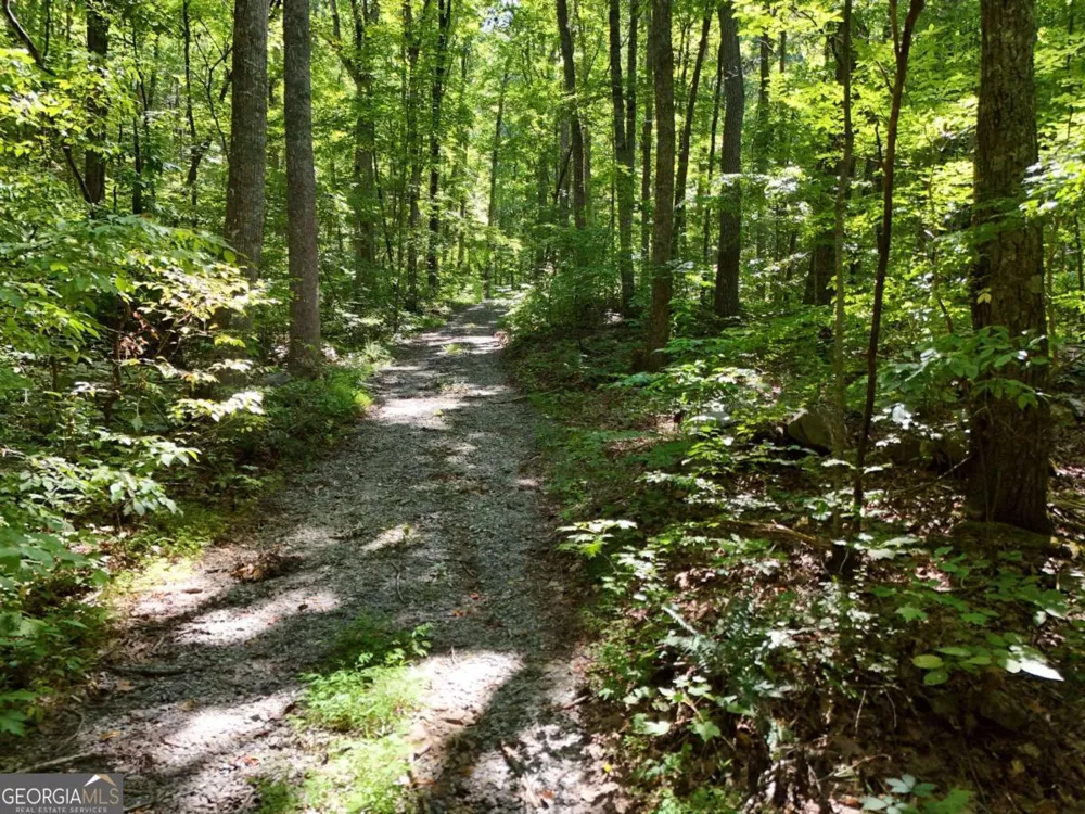 145 AC. Bell MTN Hiawassee, GA 30546