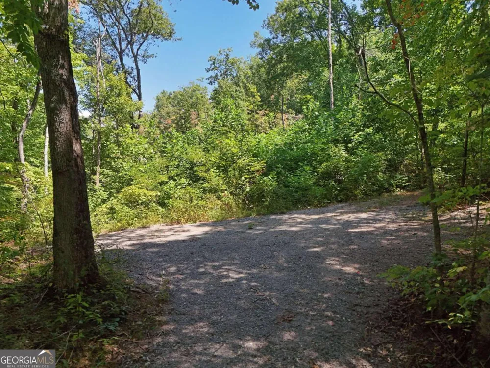 145 AC. Bell MTN Hiawassee, GA 30546
