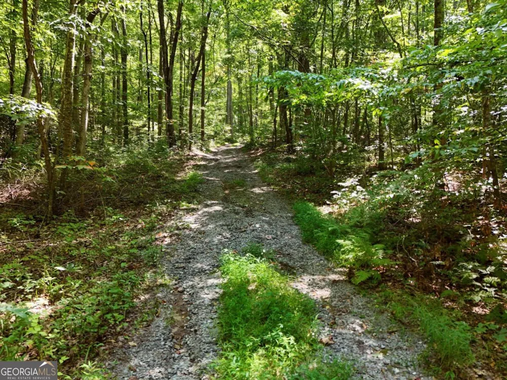 145 AC. Bell MTN Hiawassee, GA 30546