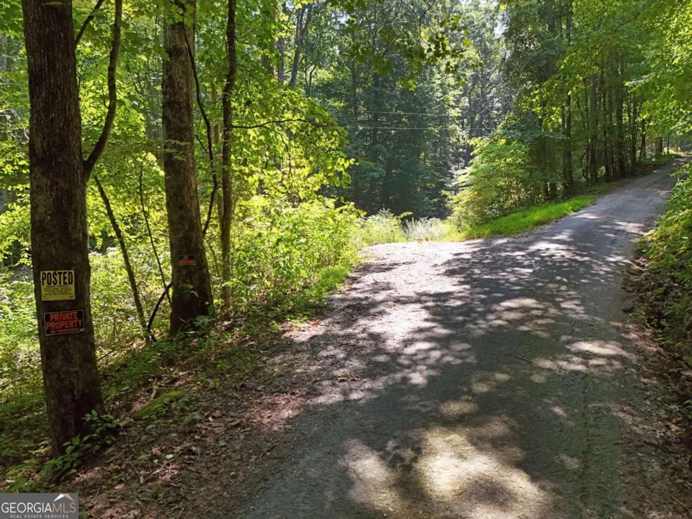 145 AC. Bell MTN Hiawassee, GA 30546