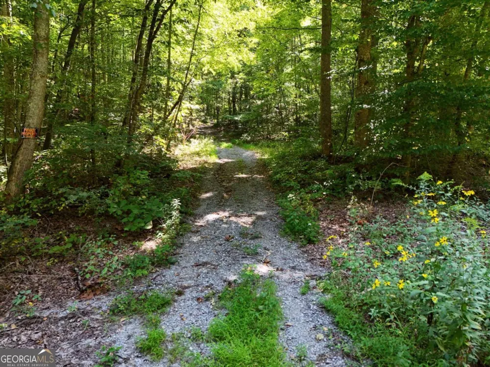 145 AC. Bell MTN Hiawassee, GA 30546