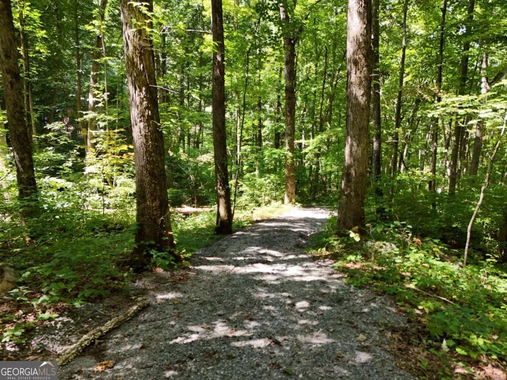 145 AC. Bell MTN Hiawassee, GA 30546