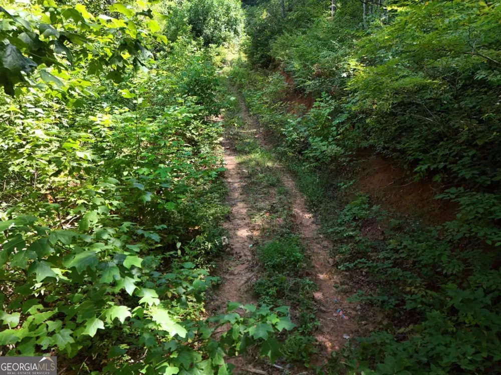 145 AC. Bell MTN Hiawassee, GA 30546