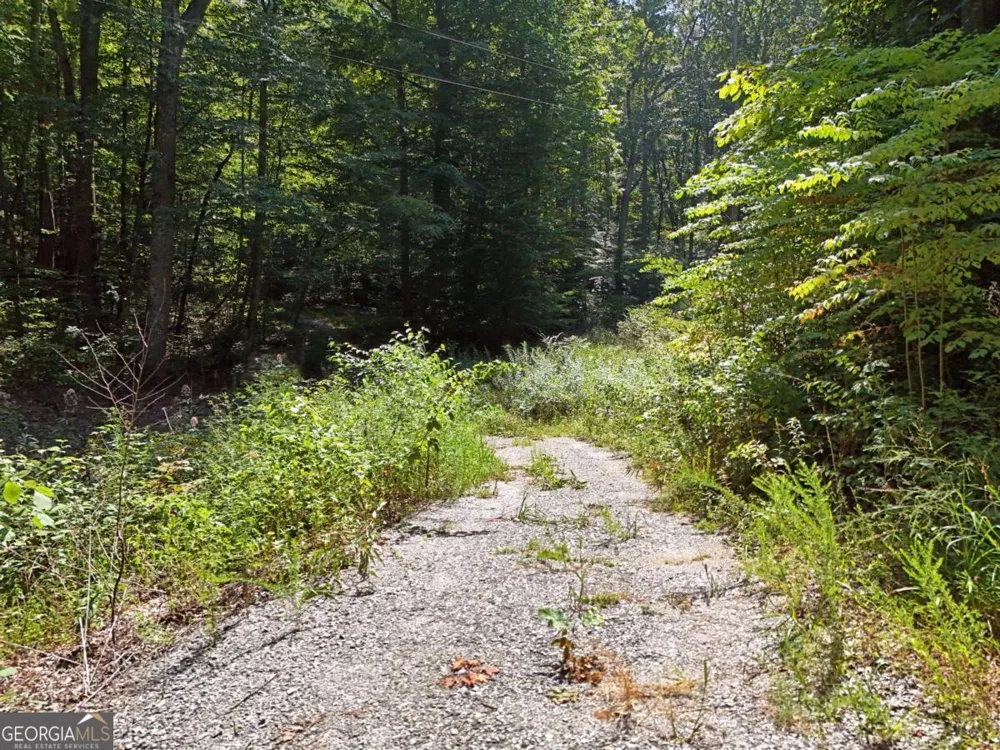 145 AC. Bell MTN Hiawassee, GA 30546