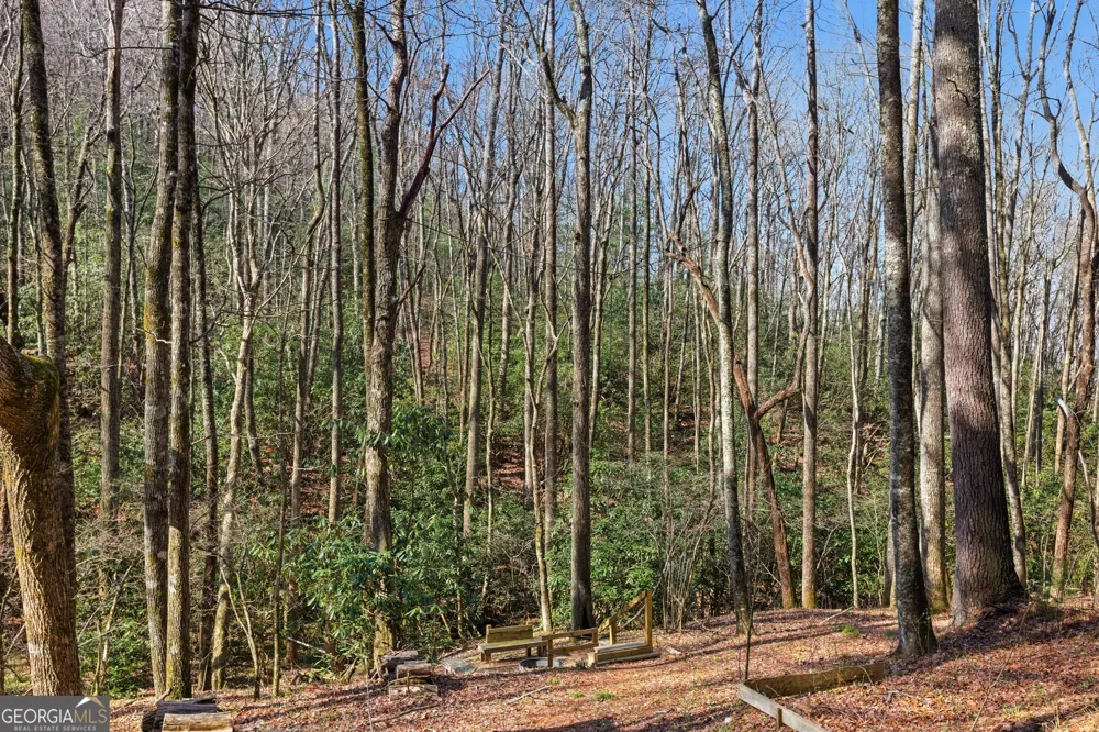 522 Rebel CIR Sky Valley, GA 30537