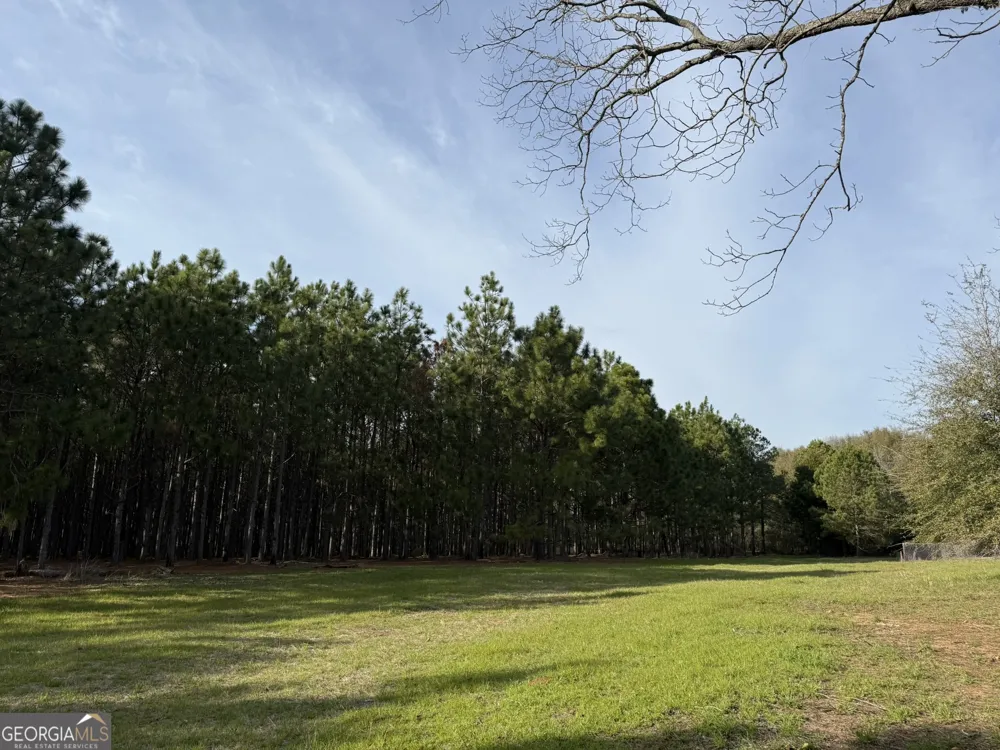 003 GA Highway 45 Plains, GA 31780
