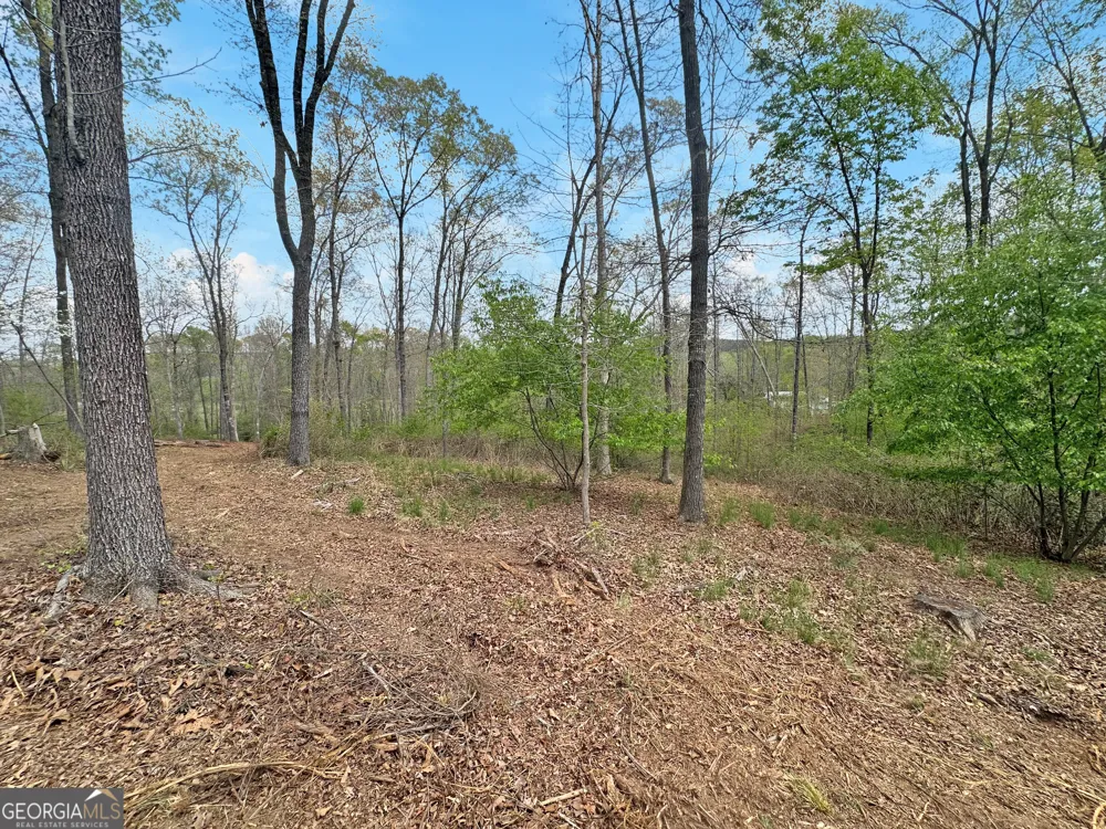 102 Broad River RD Eastanollee, GA 30538