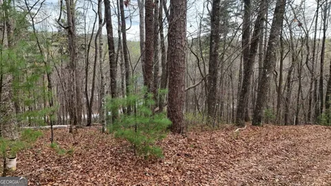 LOT 8 Settlement LN