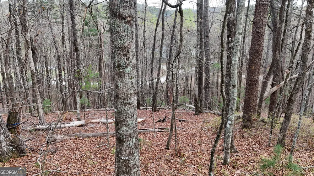 LOT 8 Settlement LN Tiger, GA 30576