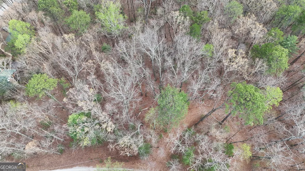 LOT 8 Settlement LN Tiger, GA 30576