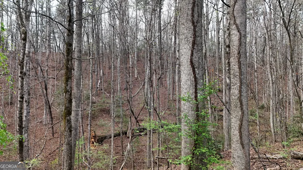 LOT 8 Settlement LN Tiger, GA 30576