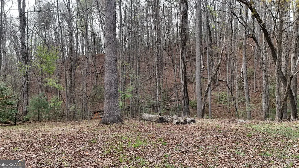 LOT 8 Settlement LN Tiger, GA 30576