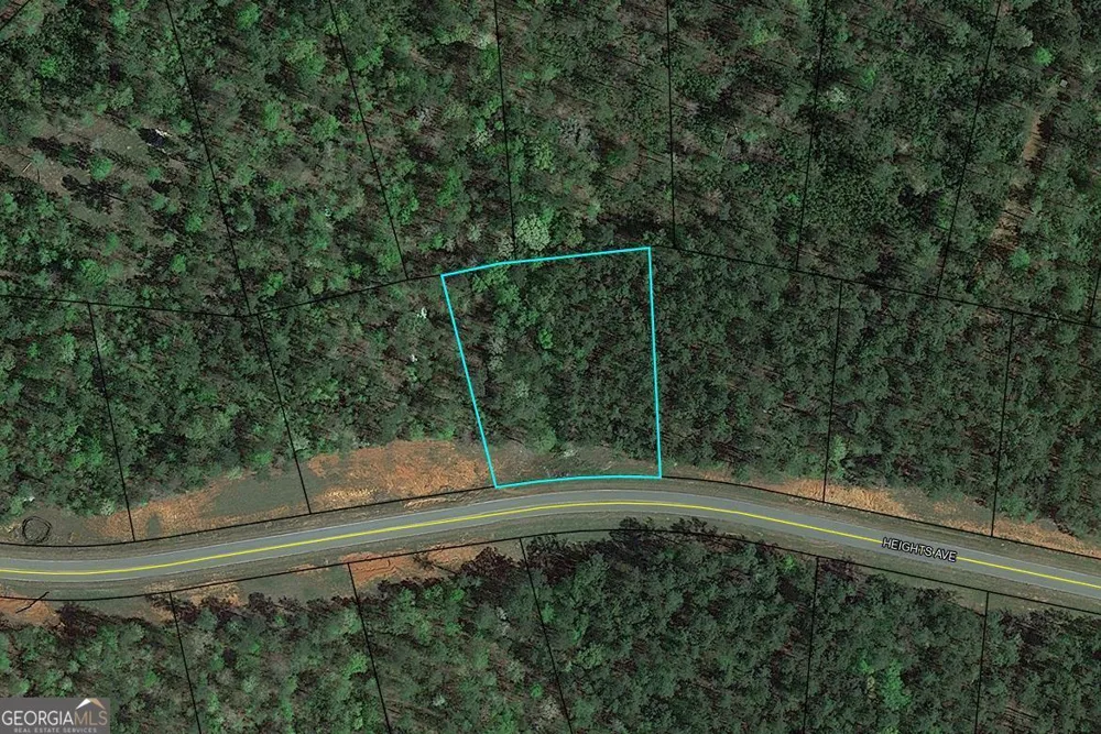 120 Heights AVE Forsyth, GA 31029