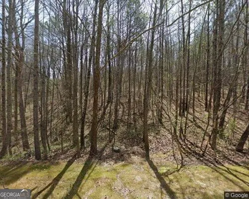 8935 Saddle TRL Ball Ground, GA 30107