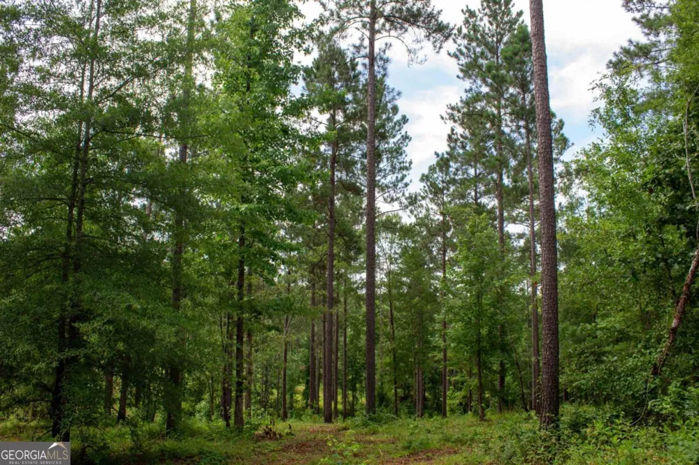 139 Overlook DR Eatonton, GA 31024