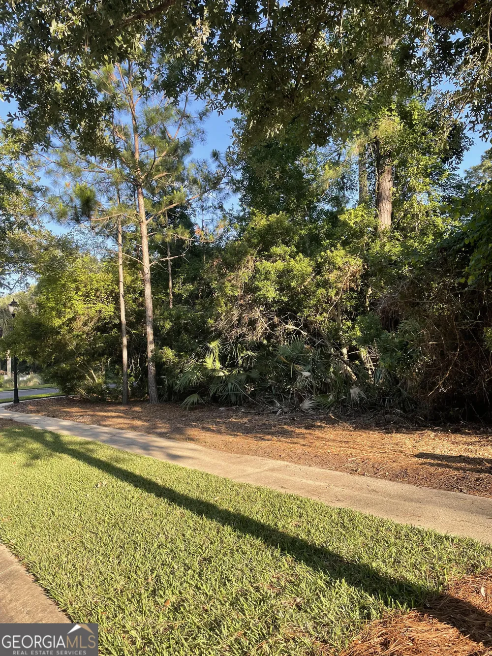 LOT 318 Charleston WAY St. Marys, GA 31558