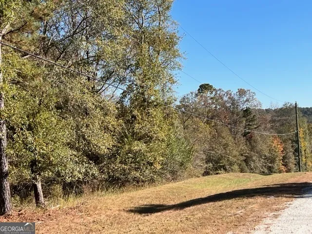0 Etchison SPUR Loganville, GA 30052