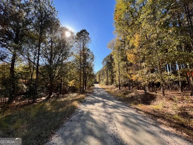 0 Etchison SPUR Loganville, GA 30052