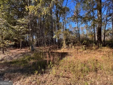 0 Etchison SPUR