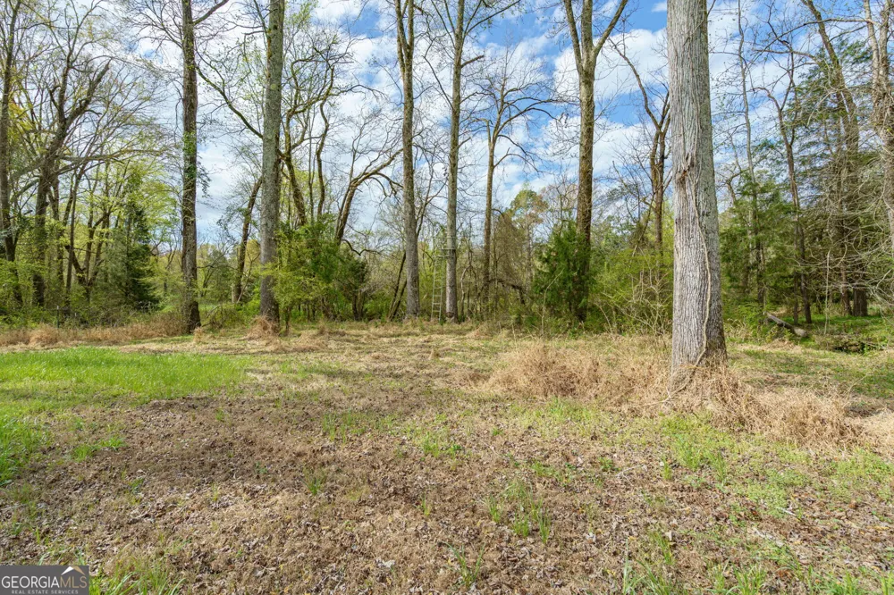 1291 Apalachee River RD Madison, GA 30650