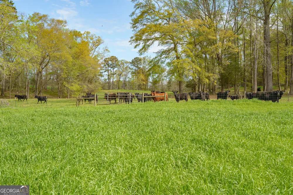 1291 Apalachee River RD Madison, GA 30650