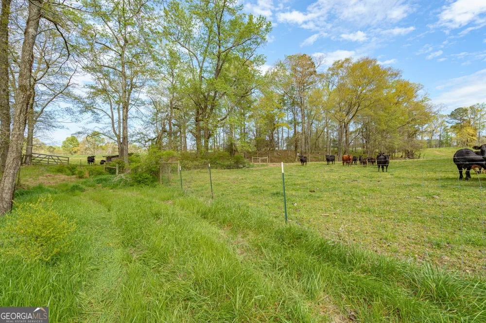 1291 Apalachee River RD Madison, GA 30650